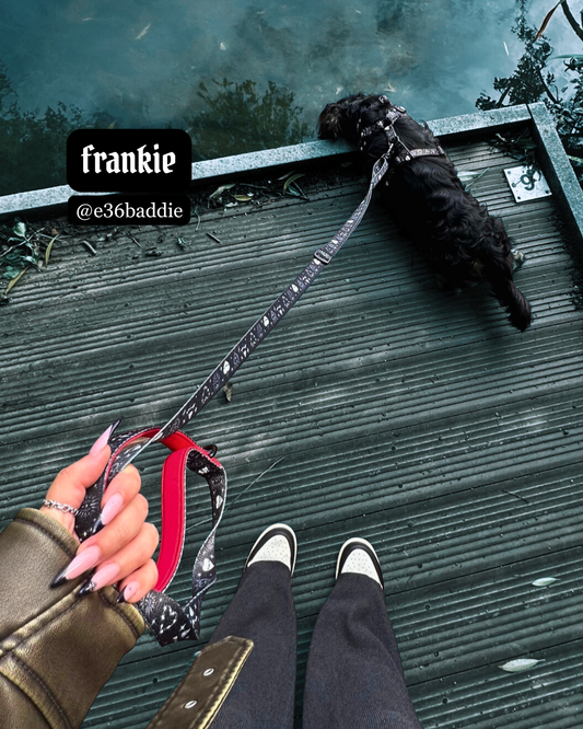 sacred heart - adjustable lead