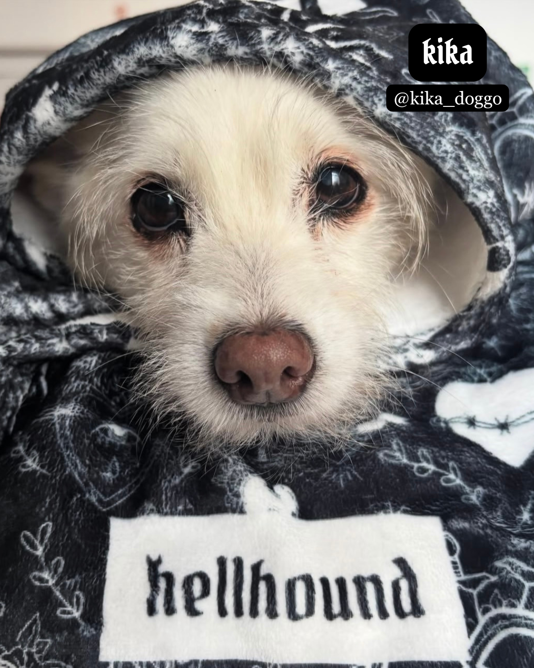 sacred heart - dog blanket