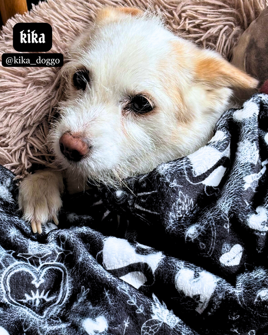 sacred heart - dog blanket