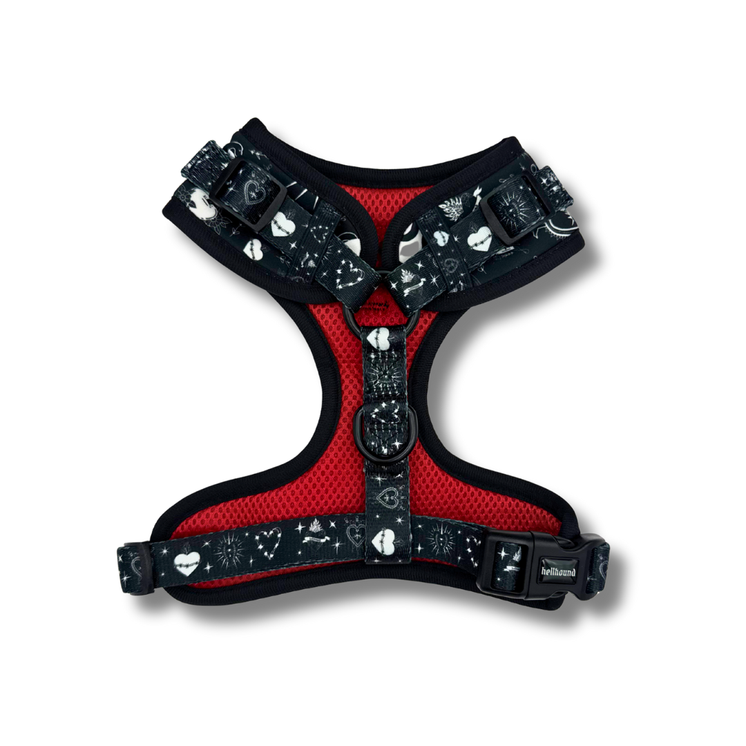 sacred heart - adjustable harness