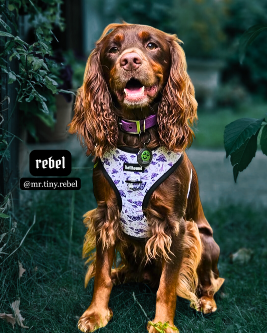 tattoo stencil - adjustable harness