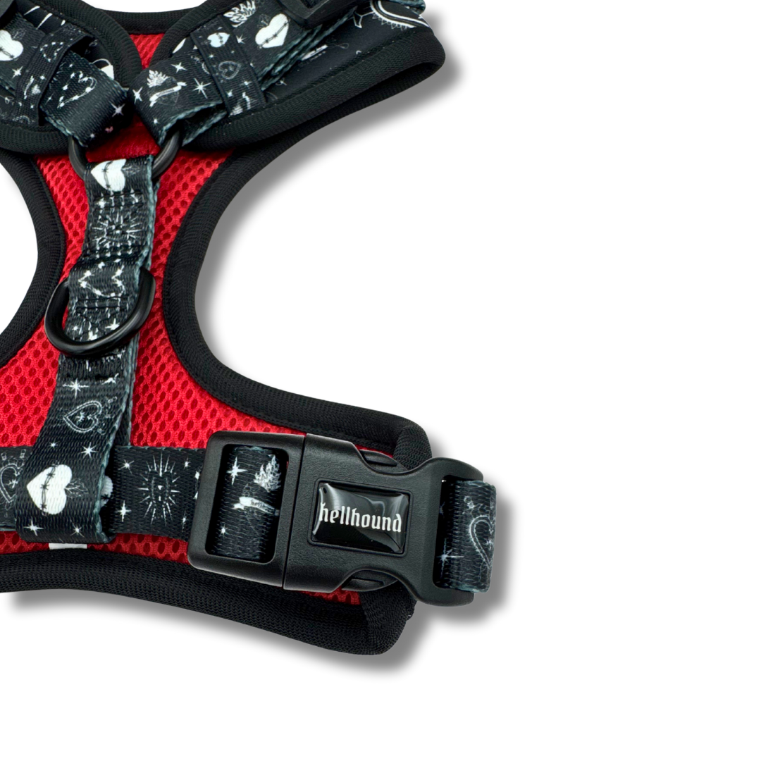sacred heart - adjustable harness