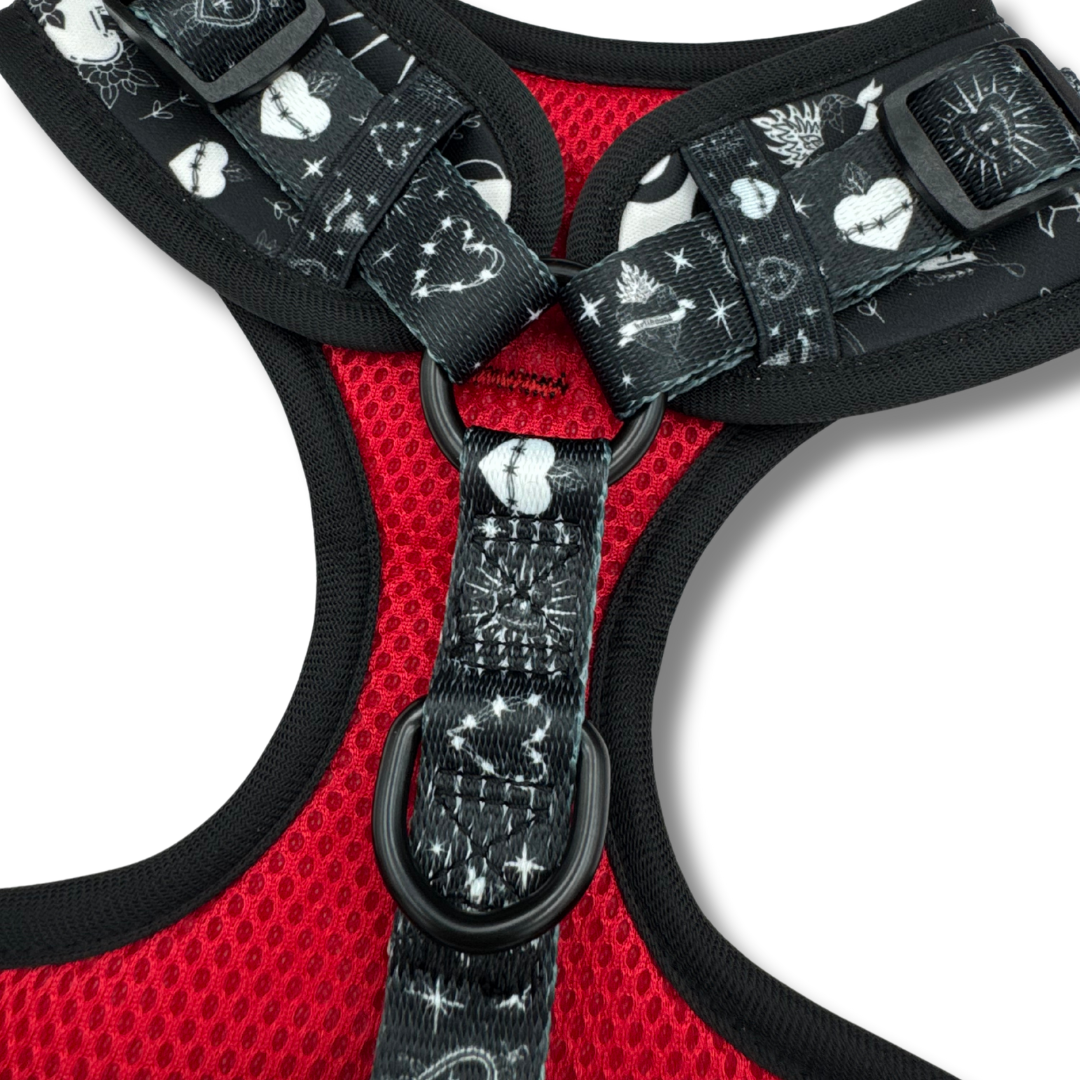 sacred heart - adjustable harness