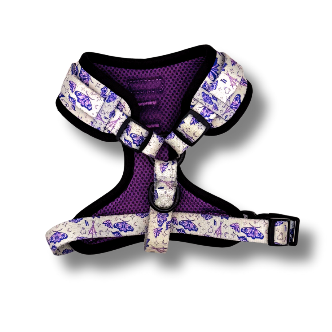 tattoo stencil - adjustable harness