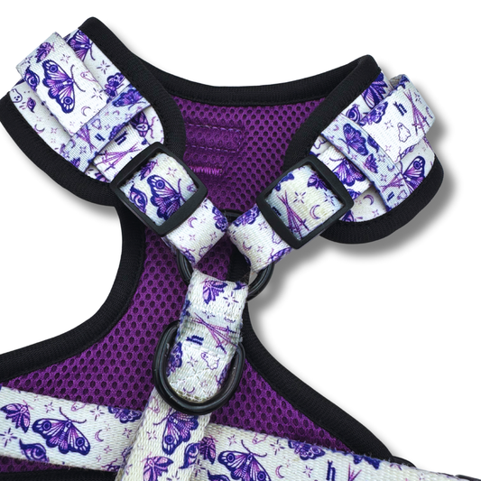 tattoo stencil bundle