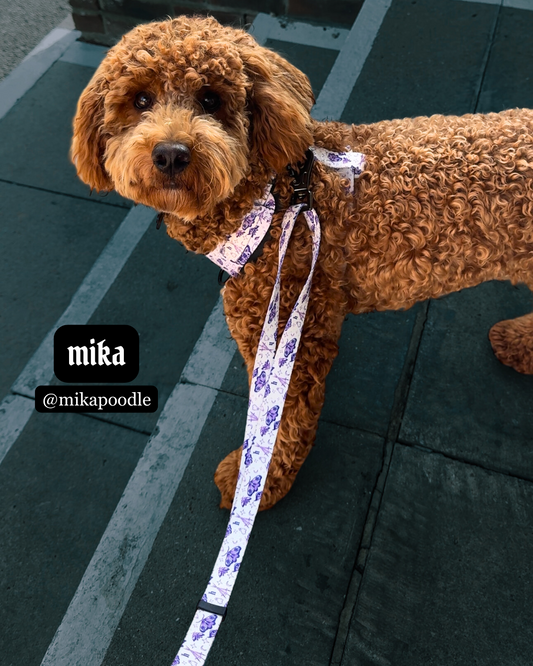 tattoo stencil - adjustable lead