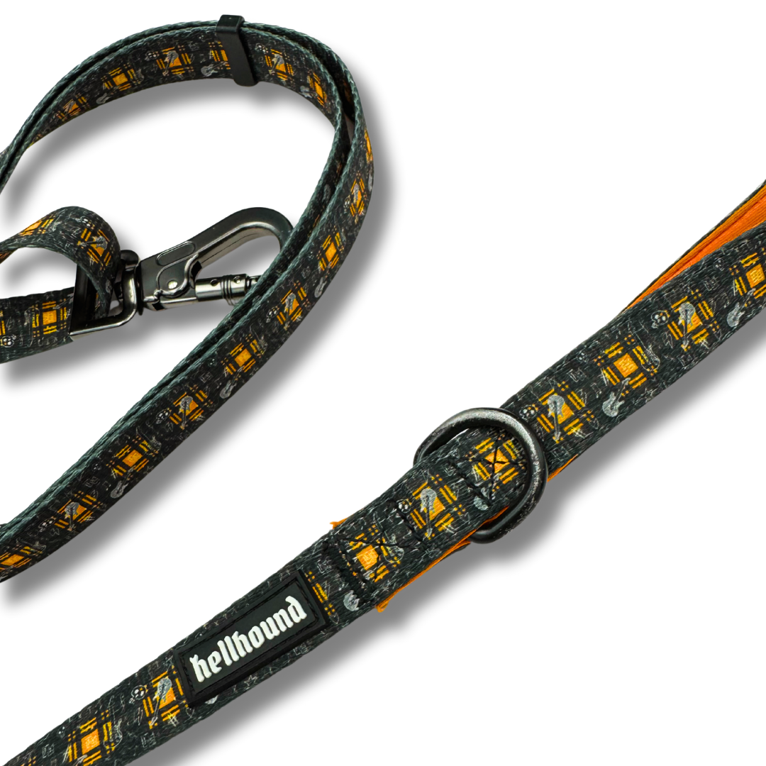 leads