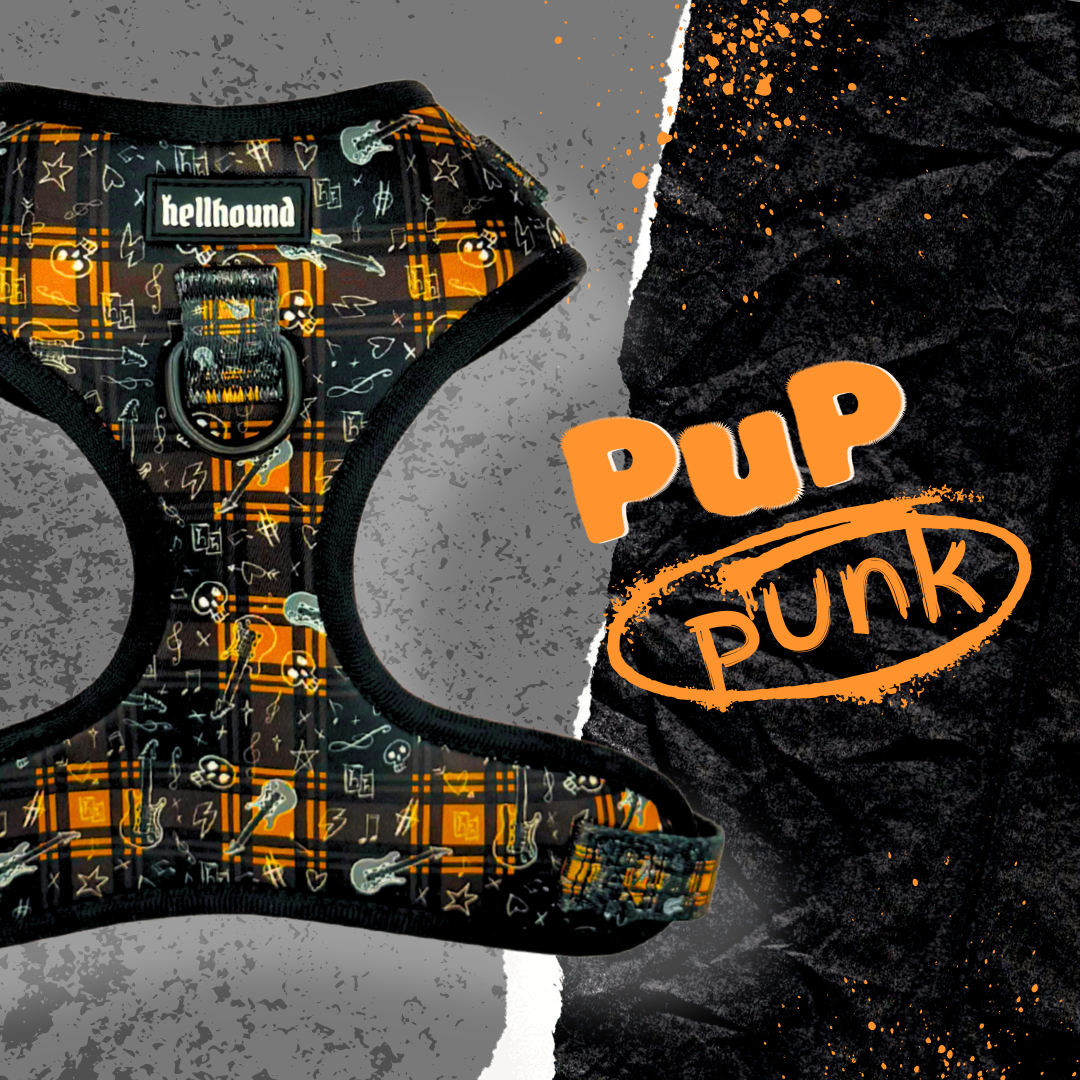 pup punk