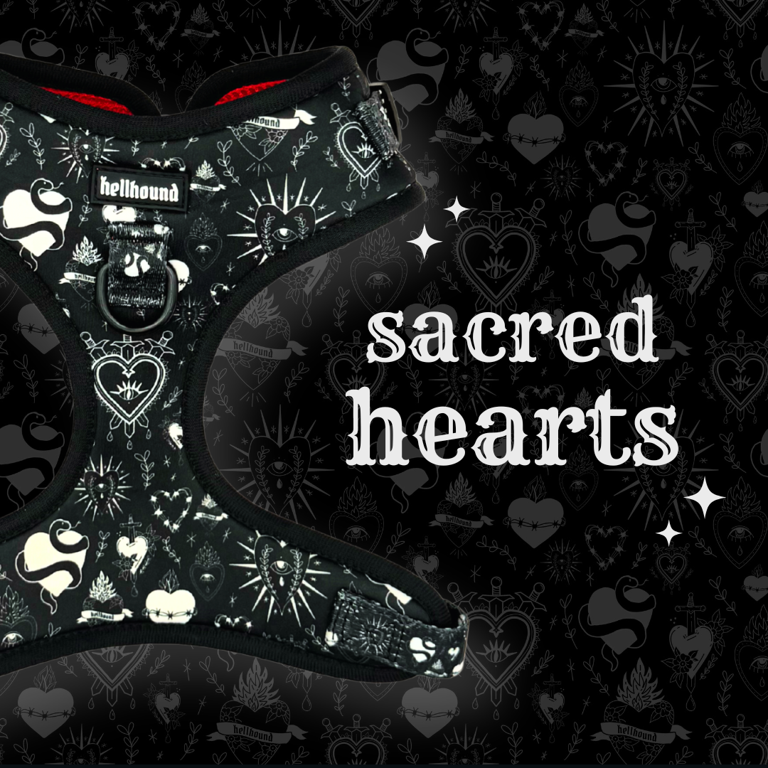 sacred hearts