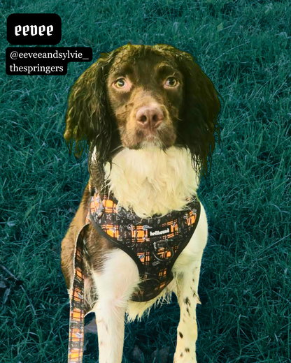 pup punk - adjustable harness