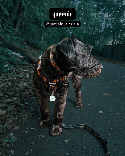 pup punk - adjustable lead